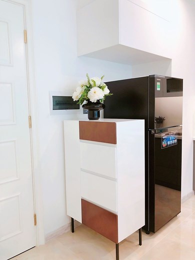 Apartment for rent D102020 (3)